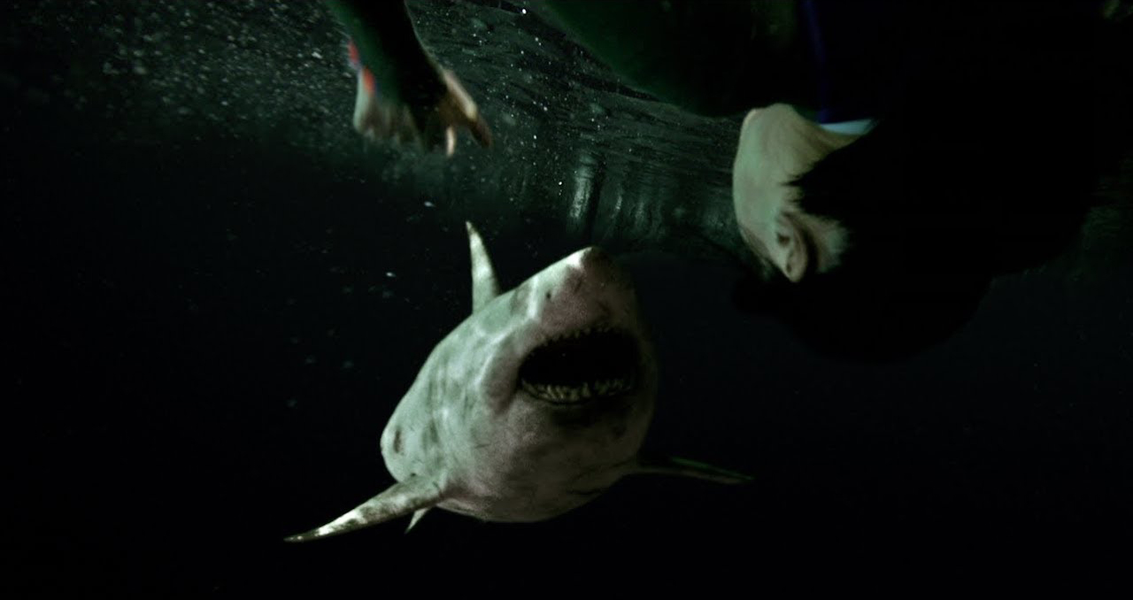 Terreur en mer dans la bande-annonce de «47 Meters Down: Uncaged»