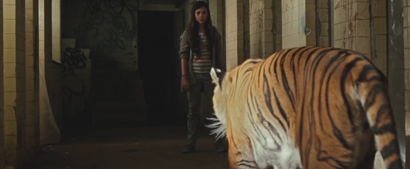 Tigers Are Not Afraid image film