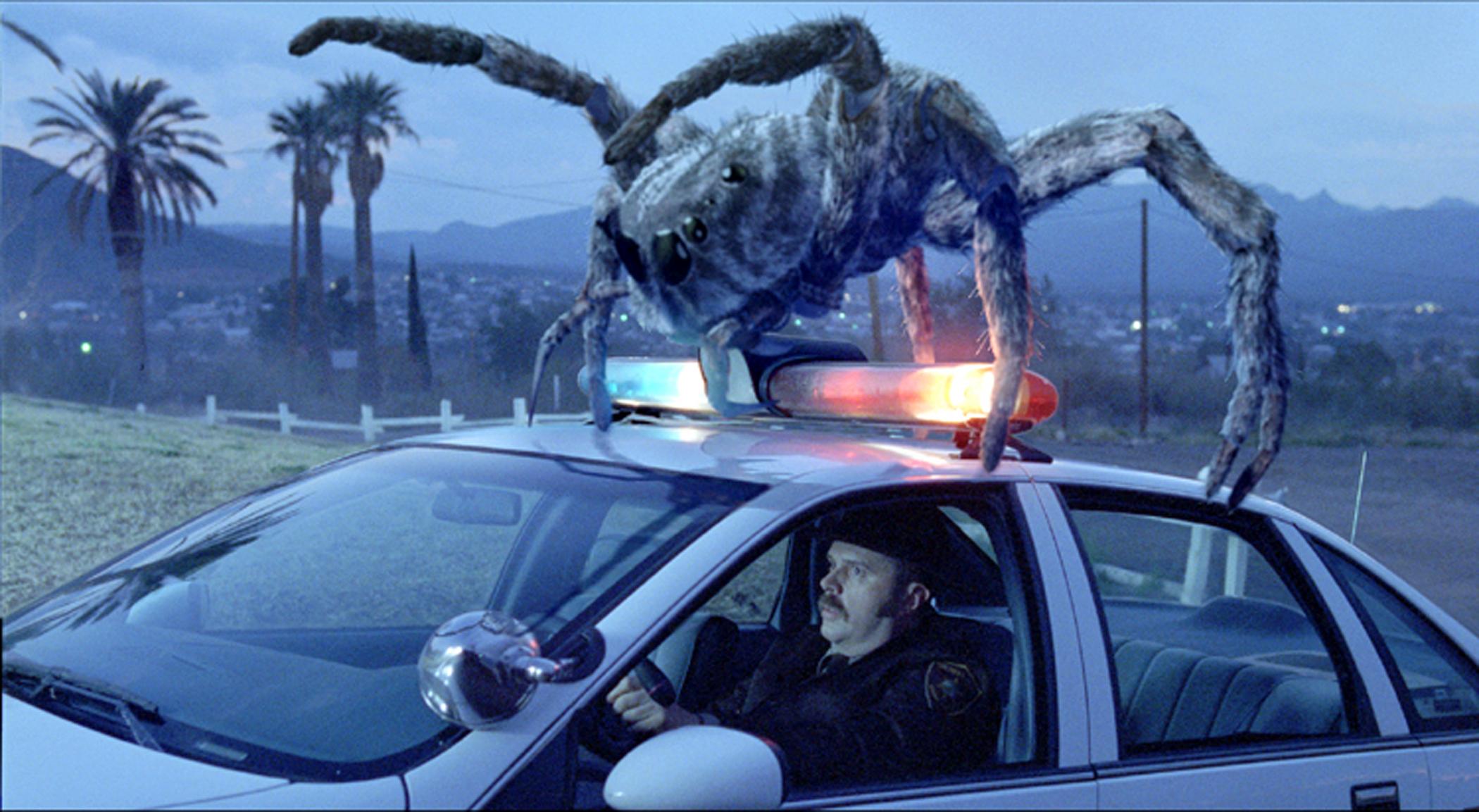 Horreur et insectes : 10 films qui réussissent à ramper sous la peau 9 EIGHT LEGGED FREAK