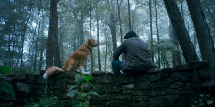 Quoi regarder en ce mois le plus sombre de l’année? 9 Good Boy2