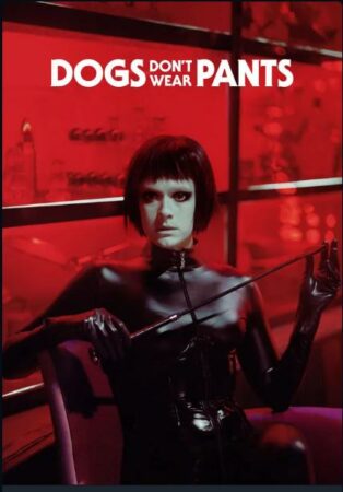 « L’amour à mort » : 4 films pour une Saint-Valentin sanglante sur Shudder 7 Dogs dont wear pants