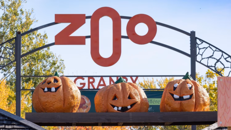 Entree principale Zoo de Granby Halloween
